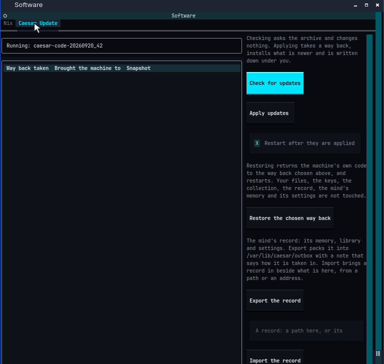 The Caesar Update tab: the running revision, ways back, and buttons to check, apply, restore, export and import